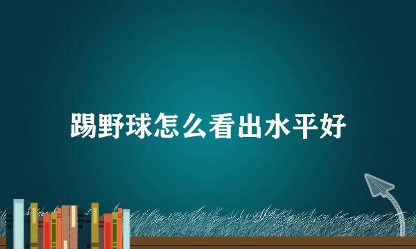 踢野球怎么看出水平好