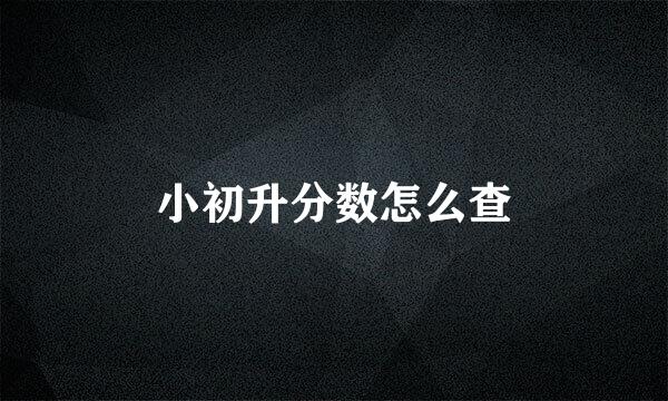 小初升分数怎么查