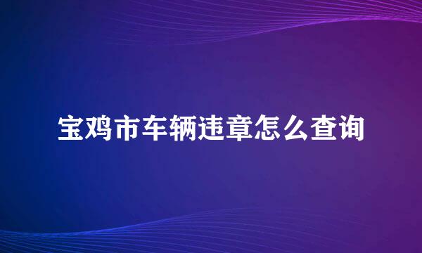 宝鸡市车辆违章怎么查询