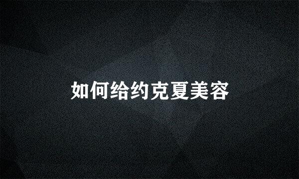 如何给约克夏美容