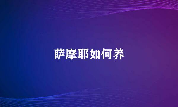 萨摩耶如何养