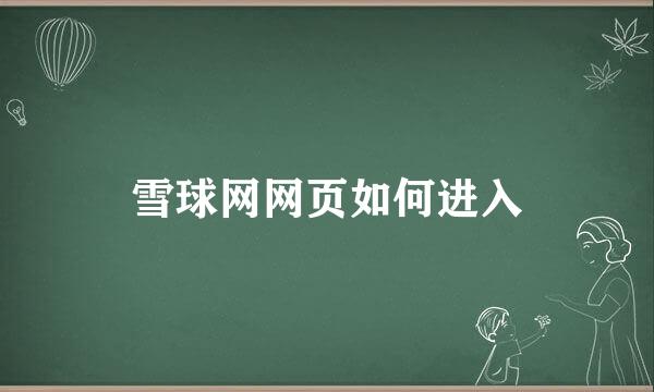 雪球网网页如何进入