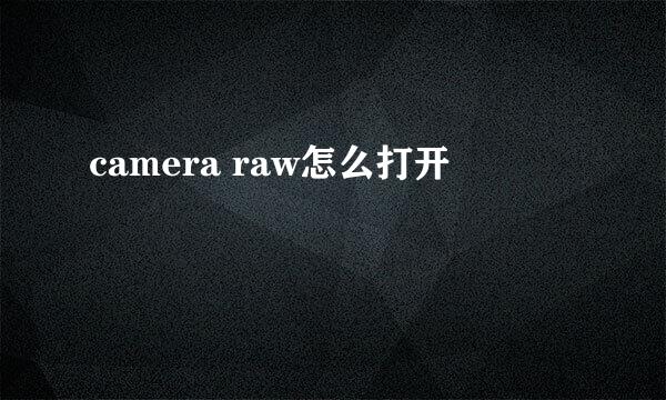 camera raw怎么打开
