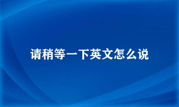 请稍等一下英文怎么说