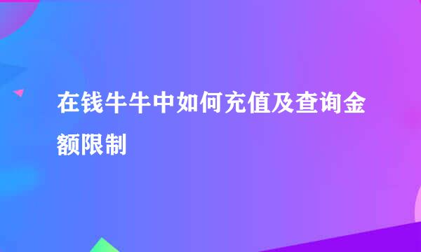 在钱牛牛中如何充值及查询金额限制