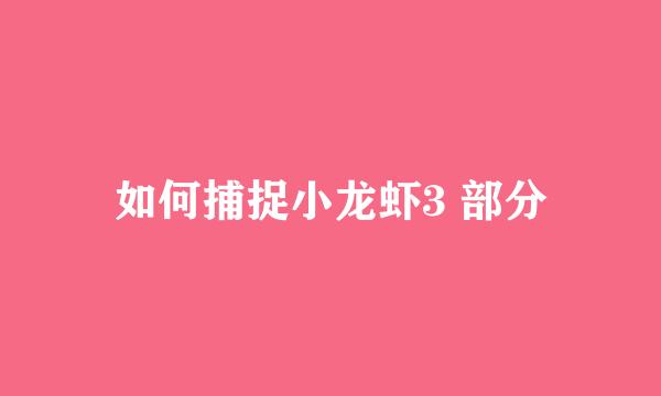 如何捕捉小龙虾3 部分