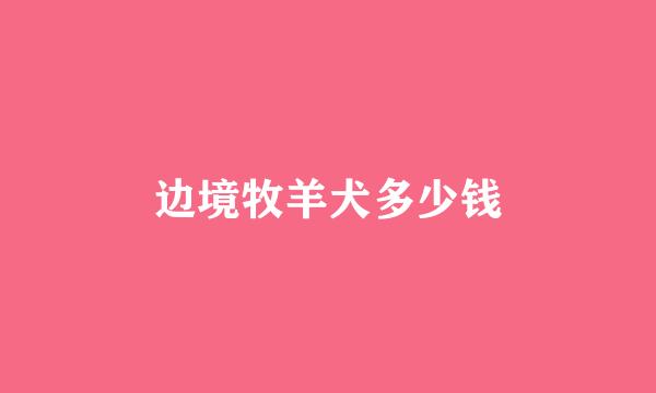 边境牧羊犬多少钱