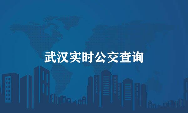 武汉实时公交查询