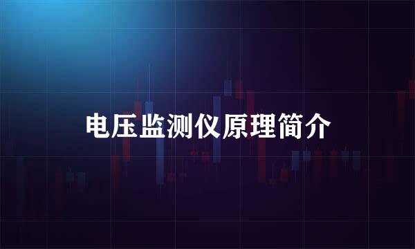 电压监测仪原理简介