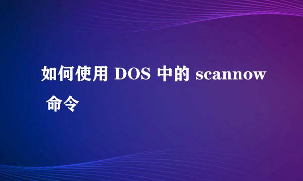 如何使用 DOS 中的 scannow 命令