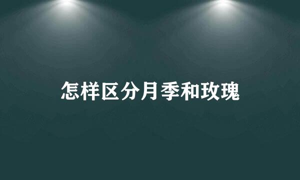 怎样区分月季和玫瑰