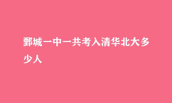 鄄城一中一共考入清华北大多少人