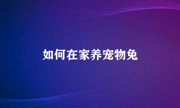 如何在家养宠物兔
