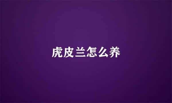 虎皮兰怎么养