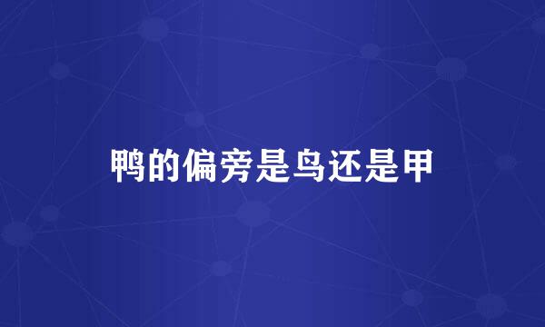 鸭的偏旁是鸟还是甲
