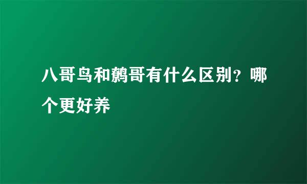 八哥鸟和鹩哥有什么区别？哪个更好养