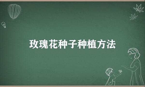 玫瑰花种子种植方法