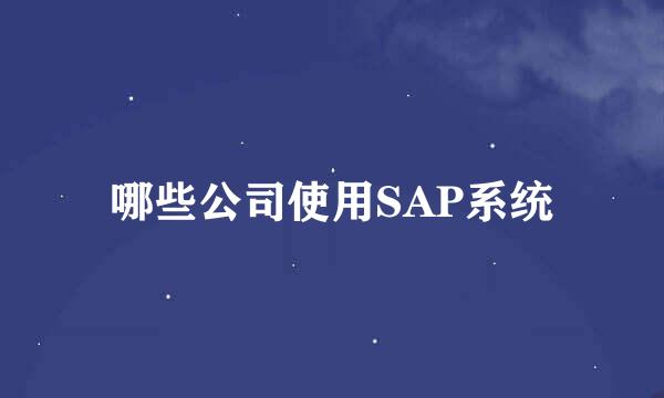 哪些公司使用SAP系统