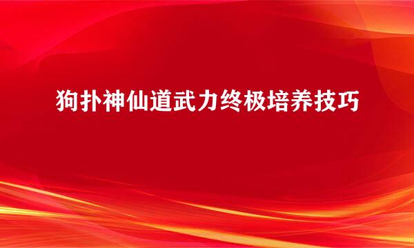 狗扑神仙道武力终极培养技巧