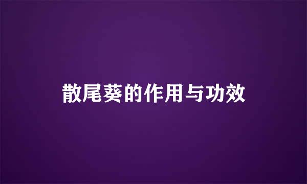 散尾葵的作用与功效