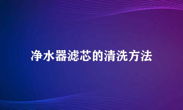 净水器滤芯的清洗方法
