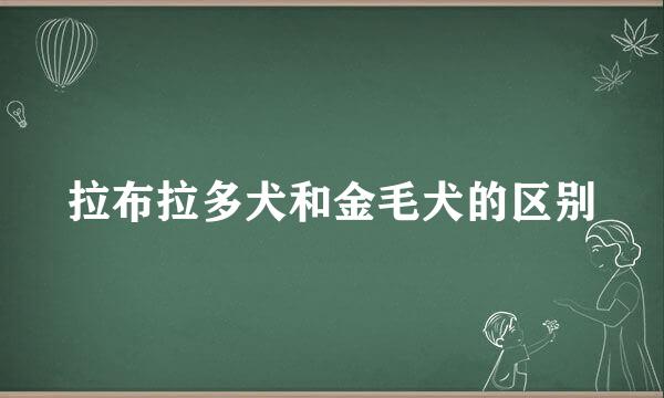 拉布拉多犬和金毛犬的区别
