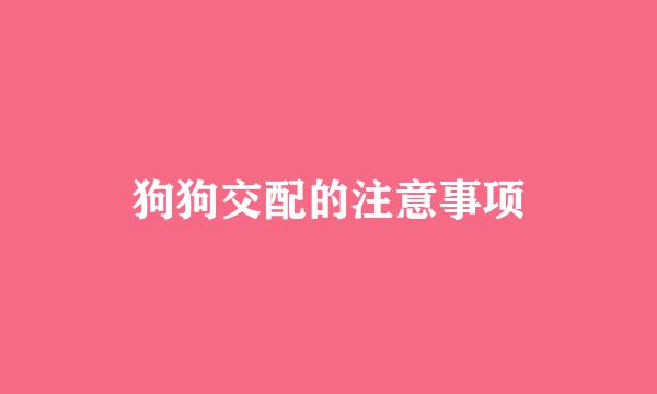 狗狗交配的注意事项