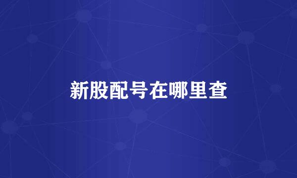 新股配号在哪里查
