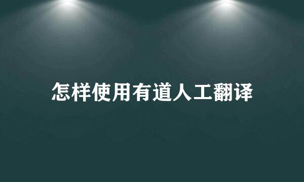 怎样使用有道人工翻译