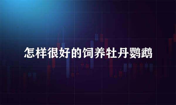 怎样很好的饲养牡丹鹦鹉