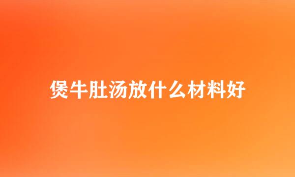 煲牛肚汤放什么材料好