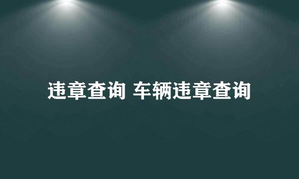 违章查询 车辆违章查询