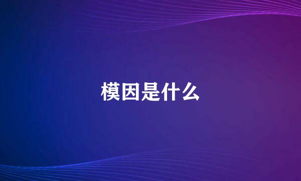 模因是什么