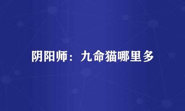 阴阳师：九命猫哪里多