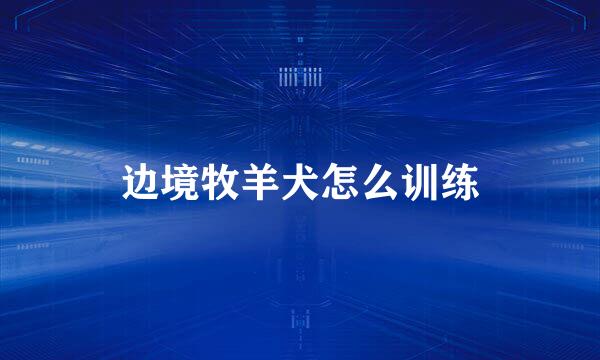 边境牧羊犬怎么训练