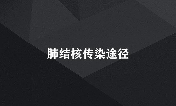 肺结核传染途径