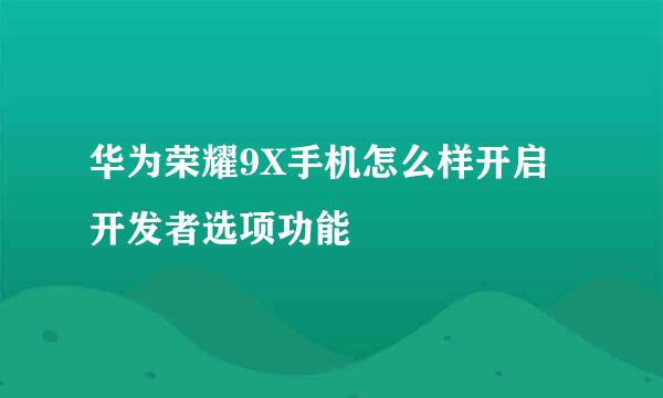 华为荣耀9X手机怎么样开启开发者选项功能