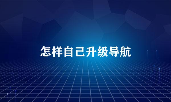怎样自己升级导航