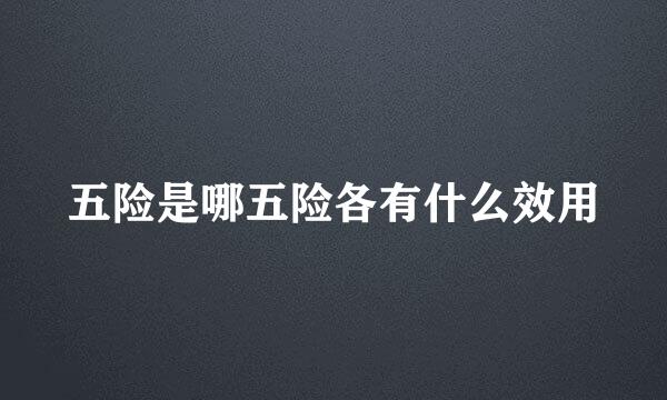 五险是哪五险各有什么效用