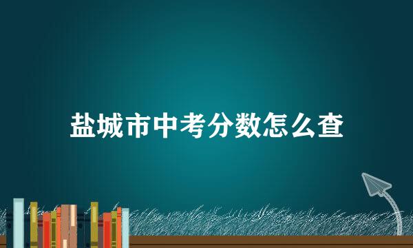 盐城市中考分数怎么查