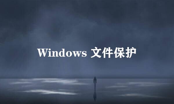 Windows 文件保护