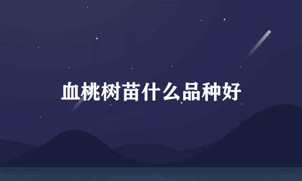 血桃树苗什么品种好