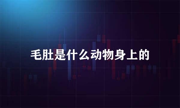 毛肚是什么动物身上的