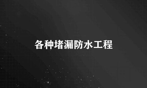 各种堵漏防水工程
