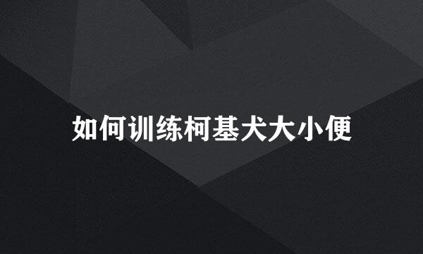 如何训练柯基犬大小便