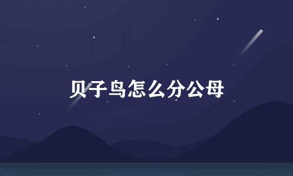 贝子鸟怎么分公母