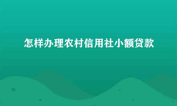 怎样办理农村信用社小额贷款