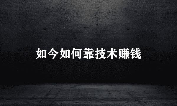 如今如何靠技术赚钱