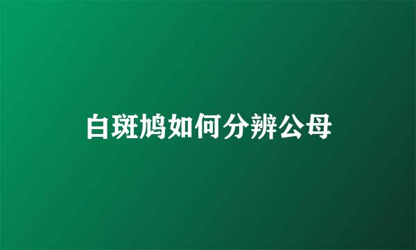 白斑鸠如何分辨公母