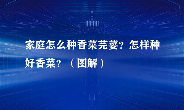 家庭怎么种香菜芫荽？怎样种好香菜？（图解）